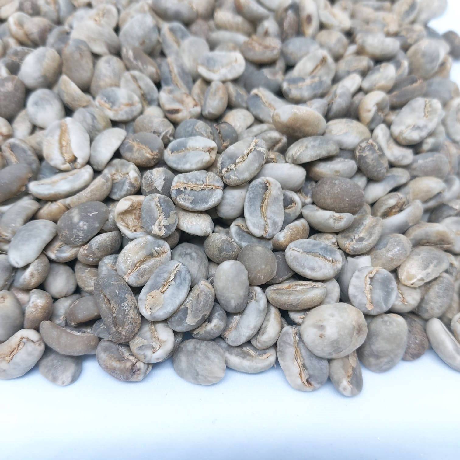 Arabica Bajawa Flores Coffee