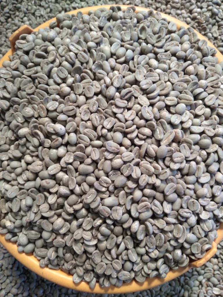 Arabica Coffee Beans Indonesia Supplier » Wholesale Factory