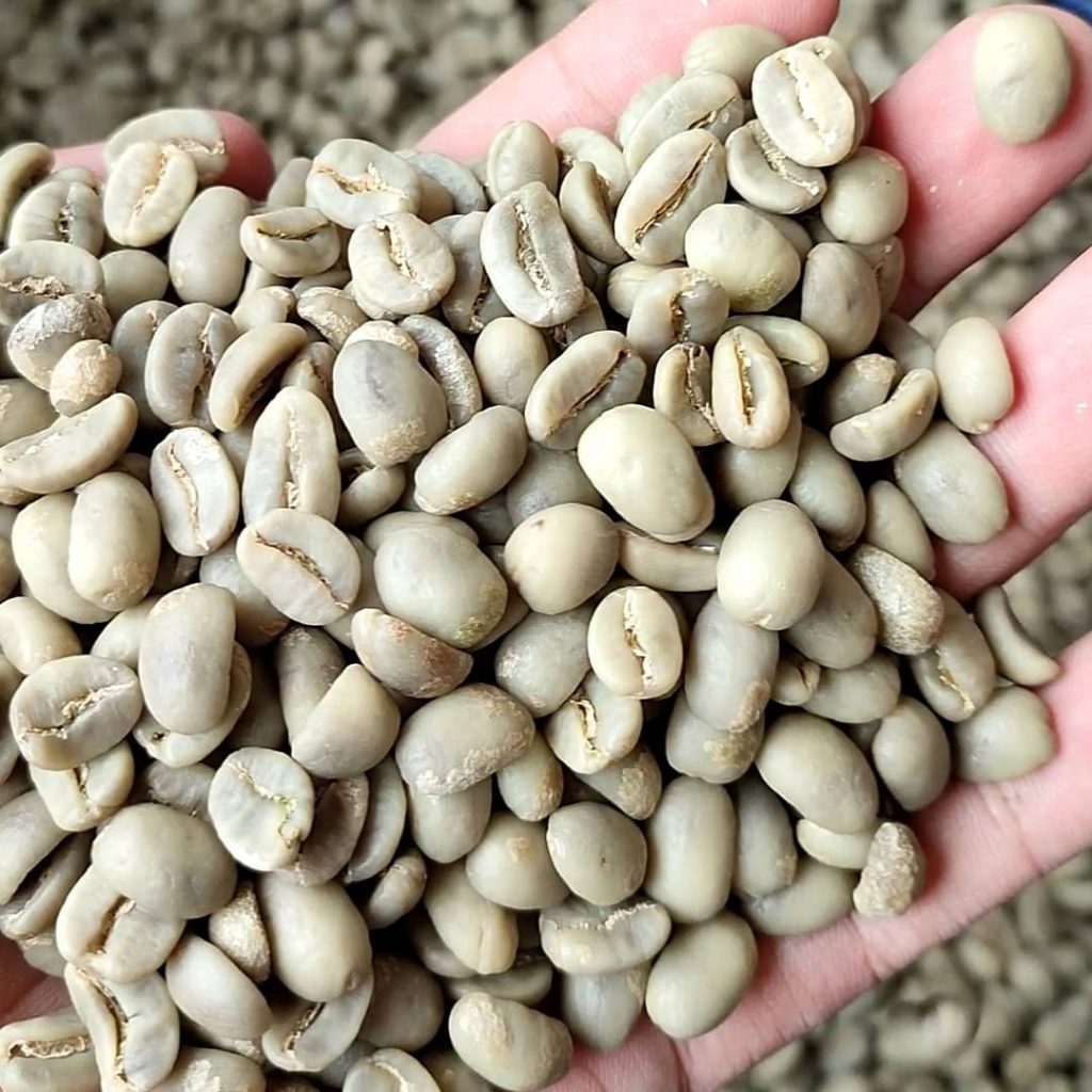 Arabica Coffee Beans Indonesia Supplier » Wholesale Factory