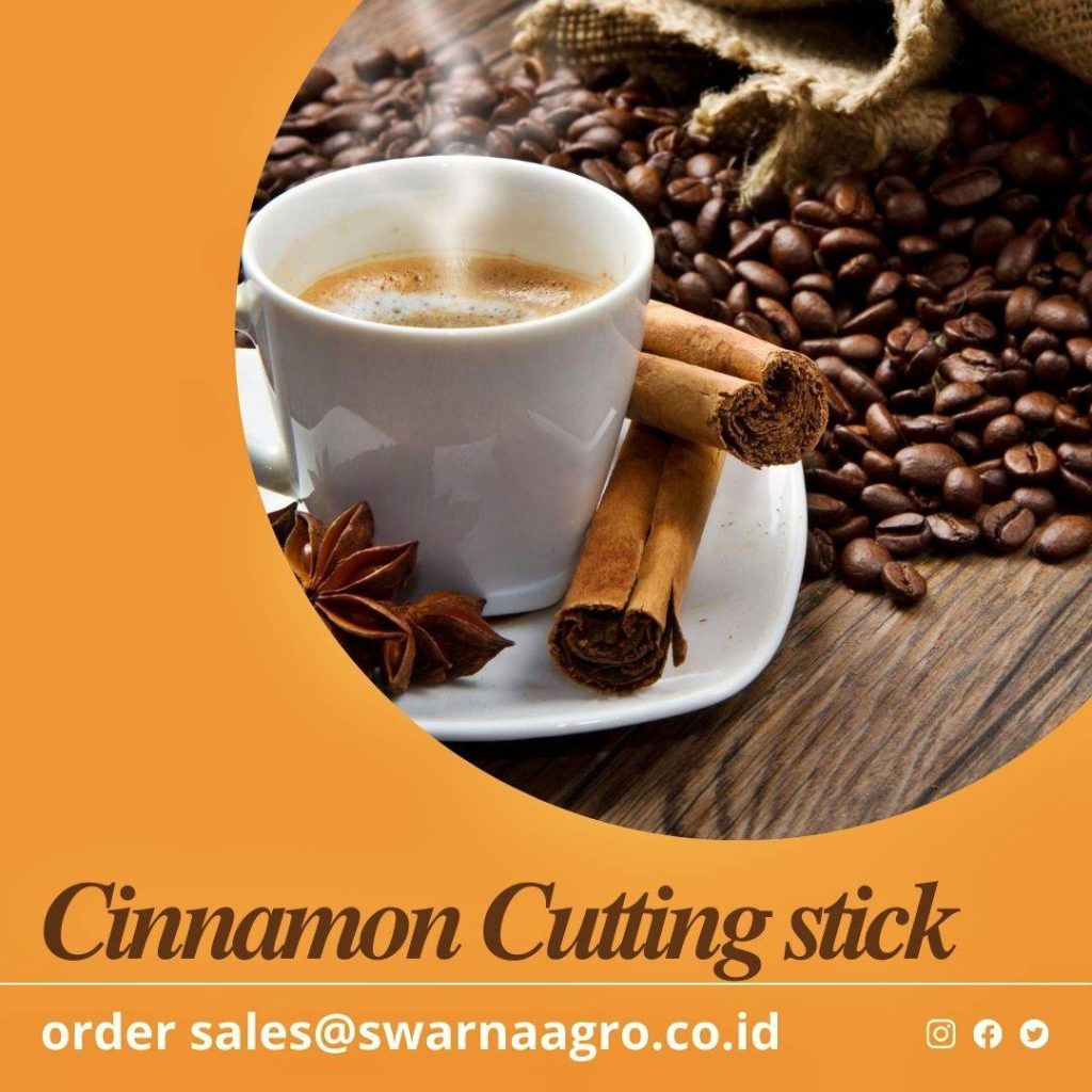 Cinnamon Stick Indonesia