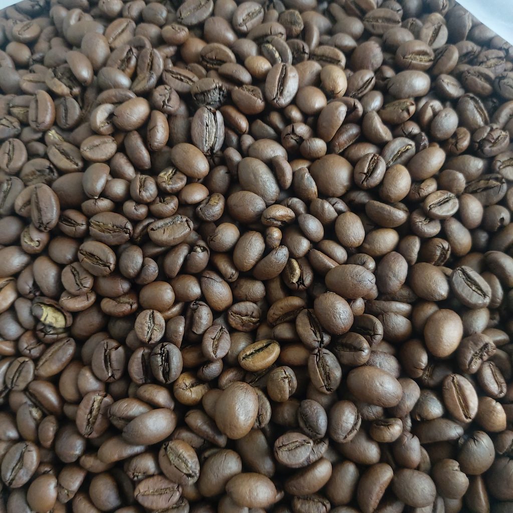 robusta coffee beans supplier