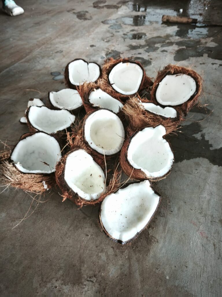 Semi Husked Coconut Exporter