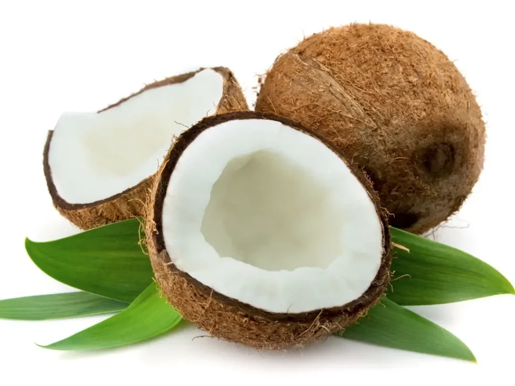 Bulk Semi Husked Coconut Online