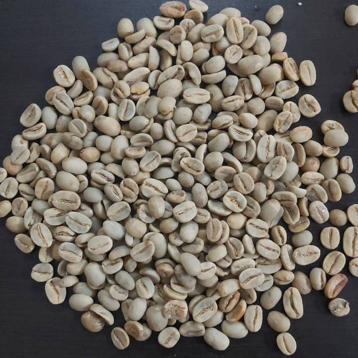 arabica coffee beans supplier