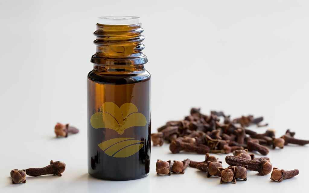clove-leaf-oil-wholesale