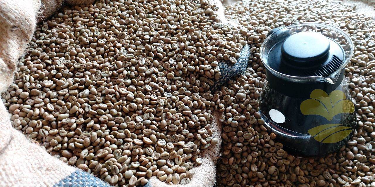 coffee beans indonesia wholesale