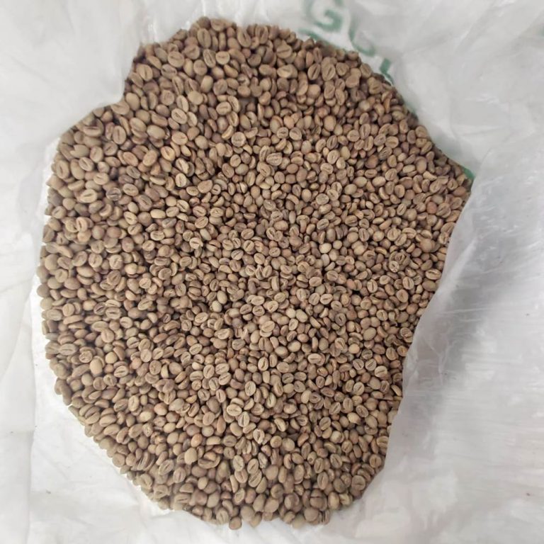 robusta coffee beans supplier