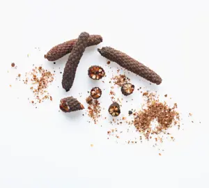 Dried whole and crushed Javanese long pepper (Piper longum) on a white background, a raw material for high-piperine herbal extracts from an Indonesian B2B supplier.