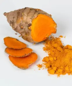Java Turmeric Supplier Indonesia