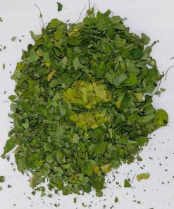 moringa leaf supplier