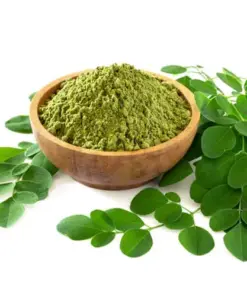 Indonesia Moringa Extract Exporter