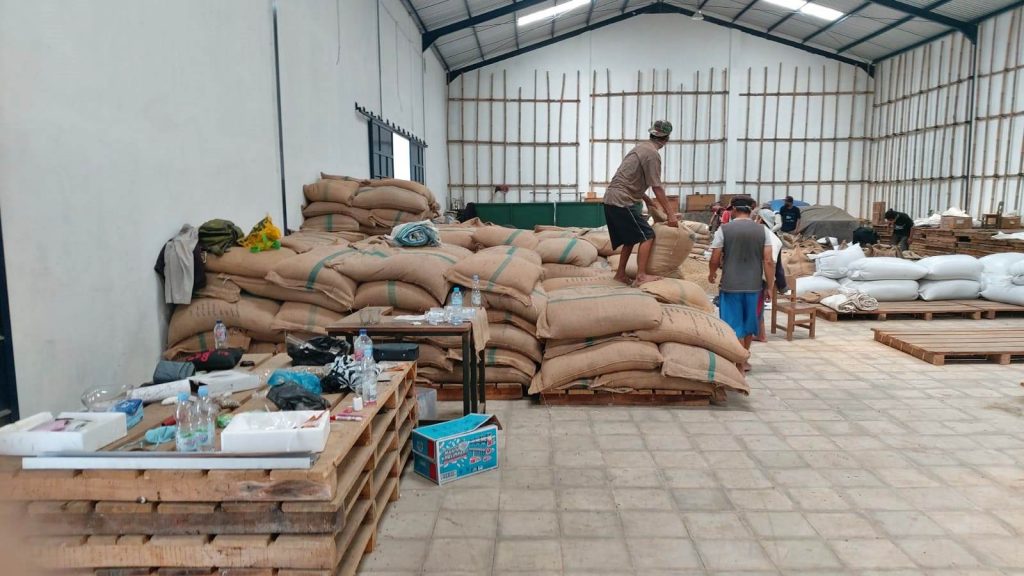 coffee beans wholesale