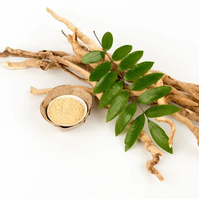 High-quality Eurycoma longifolia (Tongkat Ali) root with pure extract powder from a leading Indonesian B2B supplier for supplements