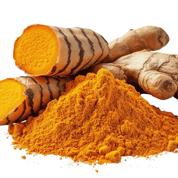 High-quality turmeric extract powder with 95% curcuminoids, bulk supply for B2B food and pharmaceutical industries, sourced from Indonesian Curcuma longa.